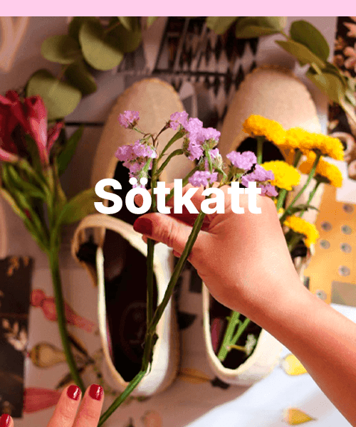 brand image brand image